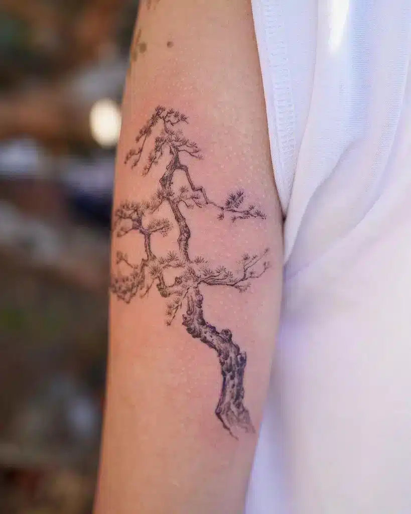 Korean Pine Tree Tattoo on Arm for Men Ragyeom-Tattoo