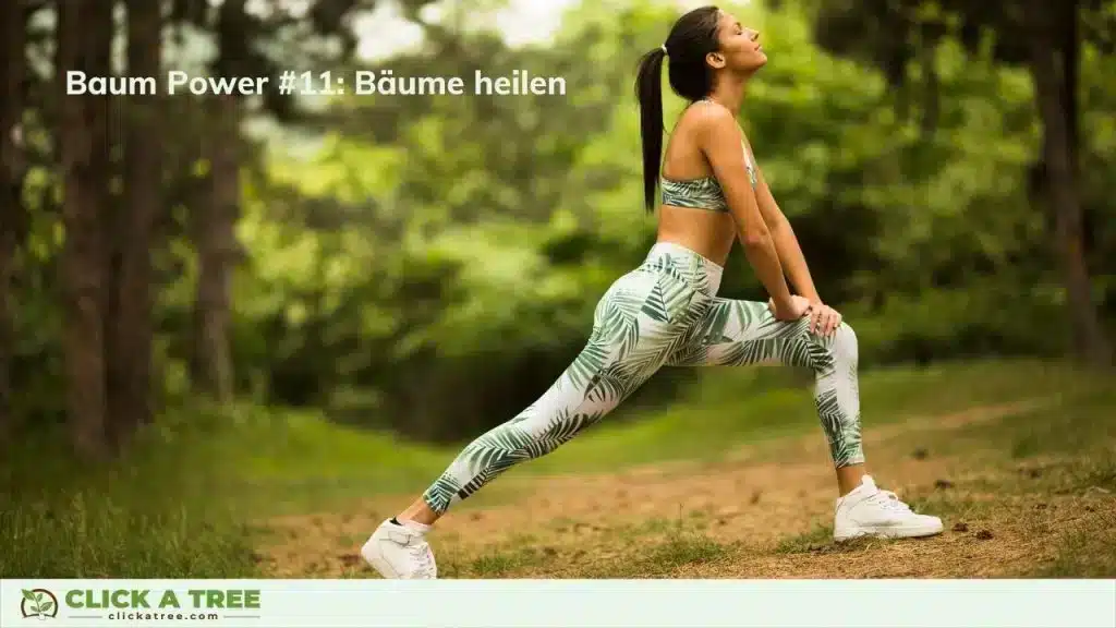 Bäume heilen und sind deshalb enorm wichtig