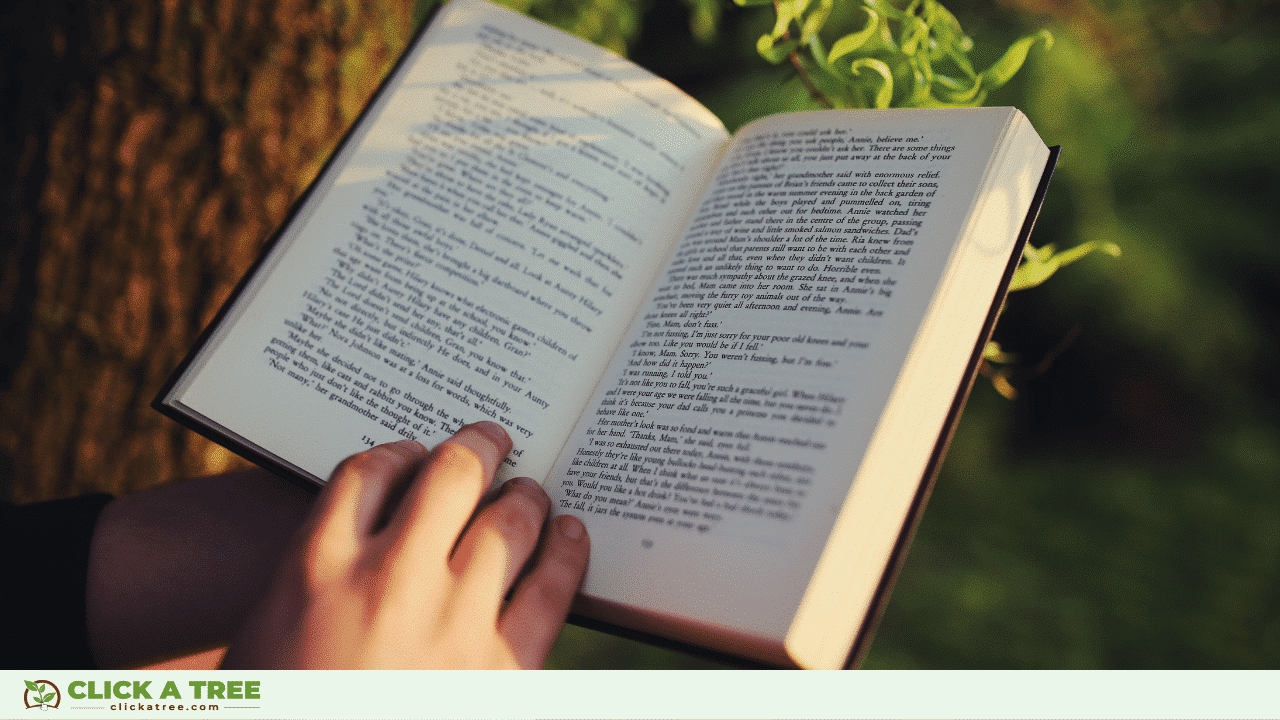 Arbor Day: when, where and how to celebrate it 14 Arbor Day: when, where and how to celebrate it Tag des Baumes 2023 15