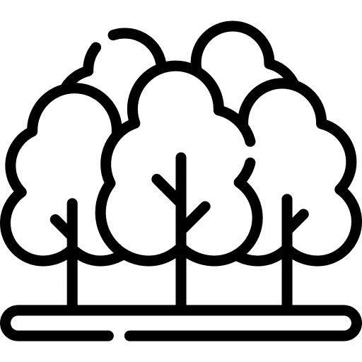 Biodiversität schützen und globale Artenvielfalt erhalten forest biodiversität