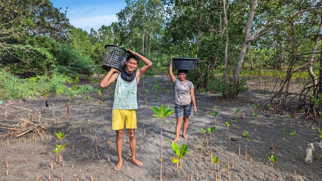 About Click A Tree: the team, the history, the motivation PXL 20230809 073339375 About Click A Tree