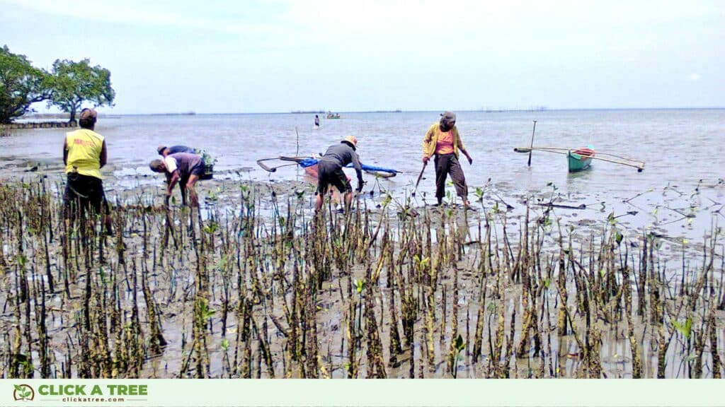Delta Elements: Wie Nachhaltigkeitsziele im Baustoffhandel effektiv erreicht werden 1 1 Nachhaltigkeitsziele im Baustoffhandel