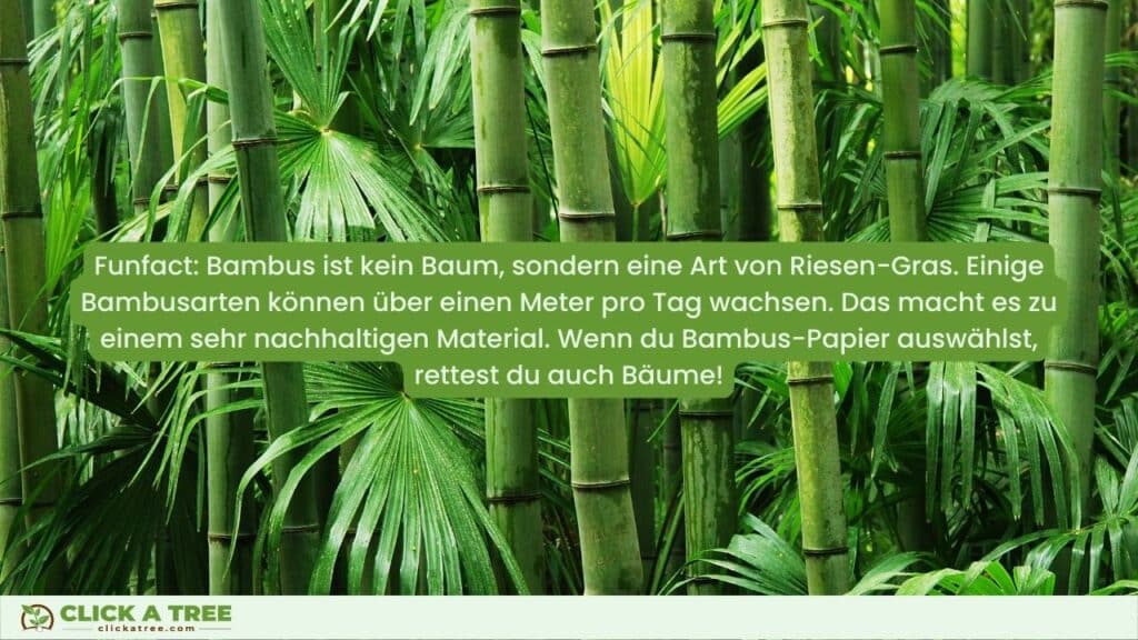 Saving Nemo - 5 (+1) tips to fight microplastics and become a marine hero! 13 1