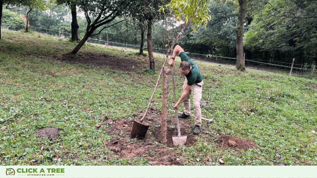 Earth Day 2023: When, where and how to celebrate it (+ free trees!) 18 2