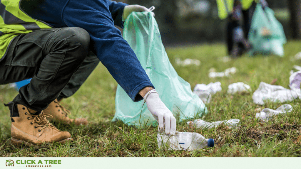 Earth Day 2023: When, where and how to celebrate it (+ free trees!) 19 2