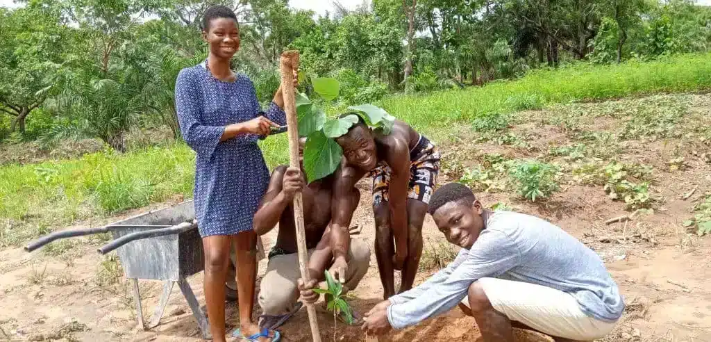 Planting trees in Ghana Baeume pflanzen in Ghana mit Click A Tree Ghana Wiederaufforsten auf clickatree 1