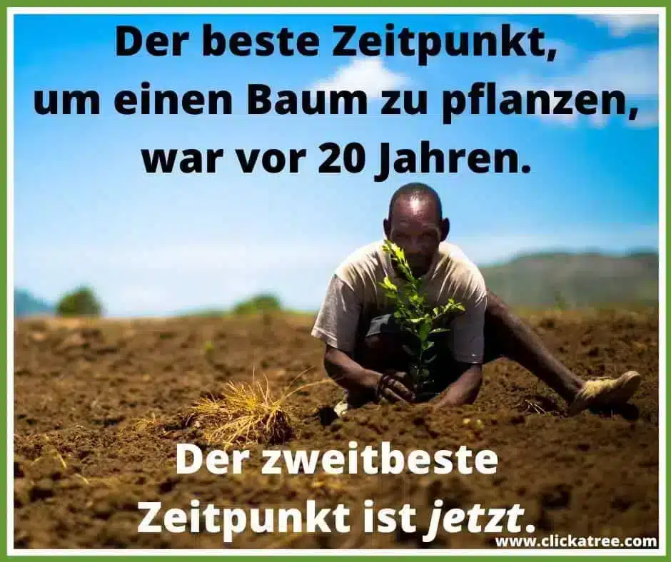 Die „Twentrees“: Das Jahrzehnt, das unseren Planeten rettet Click A Tree Meme Der beste Zeitpunkt um einen Baum zu pflanzen war vor 20 Jahren. Der zweitbeste Zeitpunkt ist jetzt. Auf Click A Tree Ueber Uns Twentrees