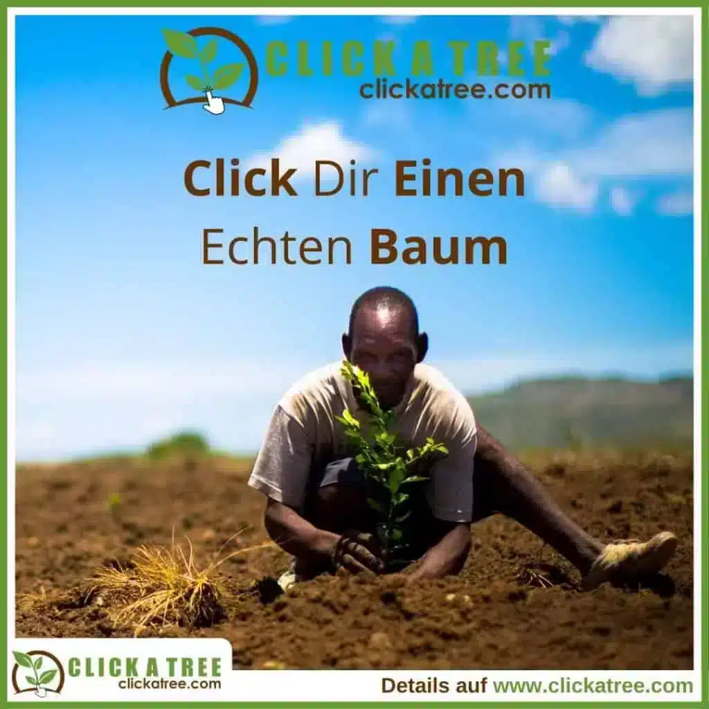 Die „Twentrees“: Das Jahrzehnt, das unseren Planeten rettet Click A Tree online Baeume pflanzen per Mausklick auf clickatree 1024x1024 1 Twentrees