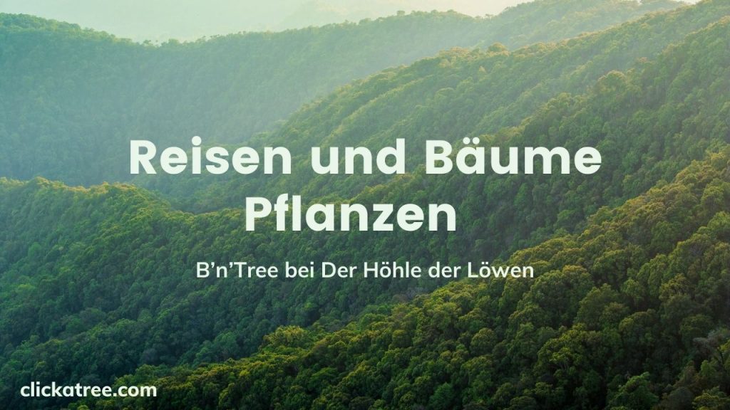 Reisen und Bäume Pflanzen Reisen und Baume pflanzen mit BnTree1 1024x576 1 reisen
