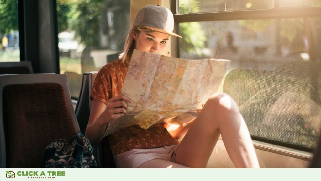 Reisen und Bäume Pflanzen Reisen und Baume pflanzen mit BnTree14 1024x576 1 reisen