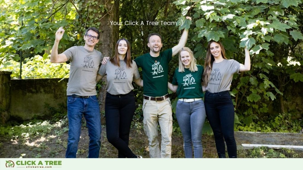 Reisen und Bäume Pflanzen Reisen und Baume pflanzen mit BnTree9 1024x576 1 reisen