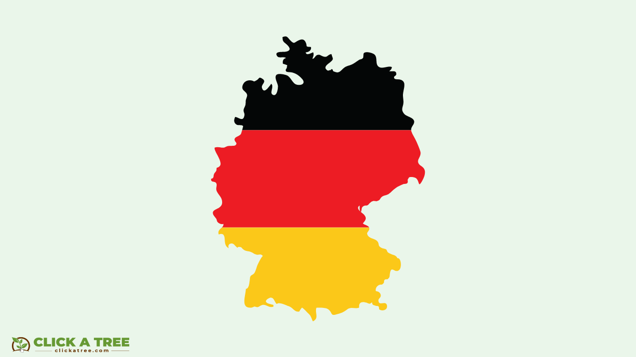 Arbor Day: when, where and how to celebrate it 3 Arbor Day: when, where and how to celebrate it Tag des Baumes 2023 03