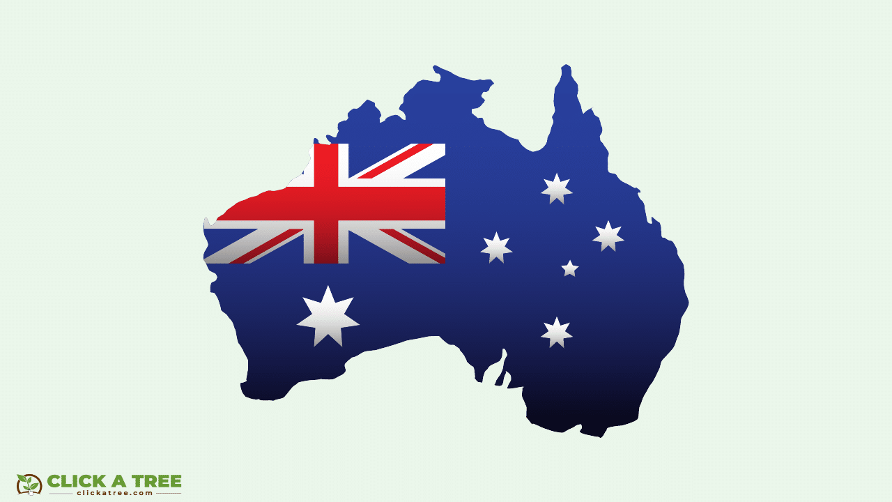 Arbor Day: when, where and how to celebrate it 4 Arbor Day: when, where and how to celebrate it Tag des Baumes 2023 04