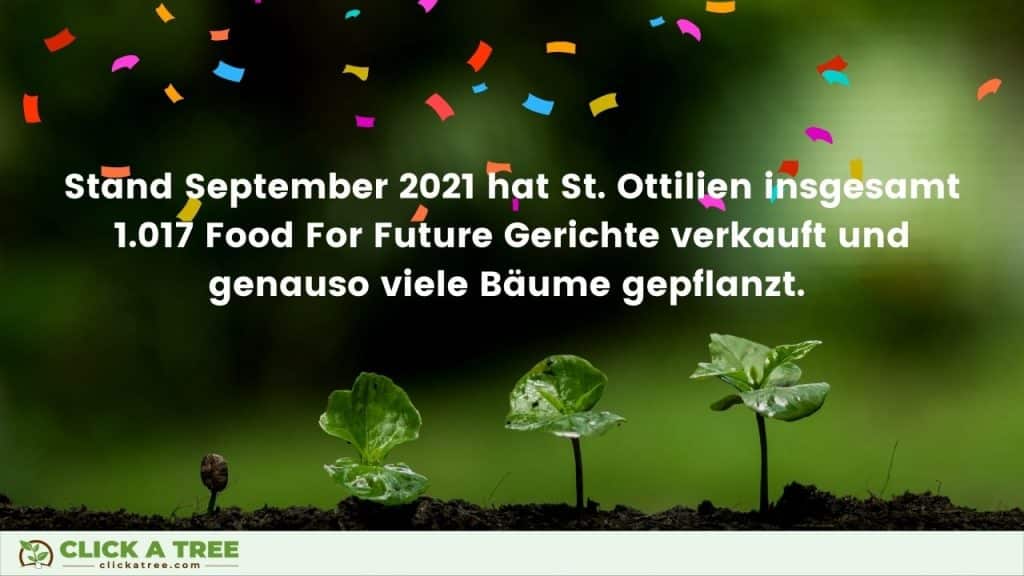 150% more sales in just 3 months - despite Corona 6 150% more sales in just 3 months - despite Corona gfs sto 4 1024x576 1