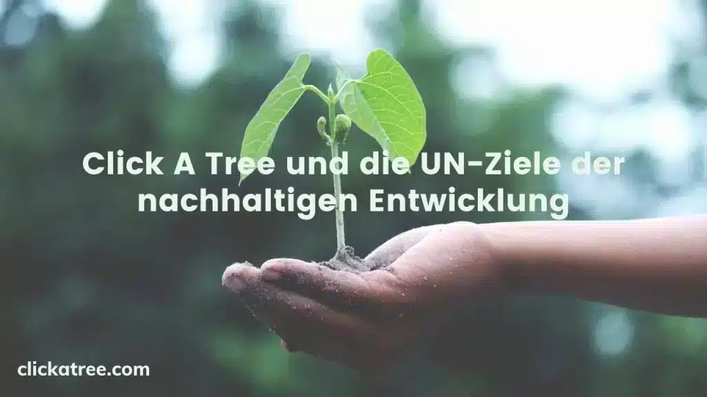 Click A Tree and the 17 Sustainable Development Goals Click A Tree und die UN Ziele der nachhaltigen Entwicklung 1024x576 1