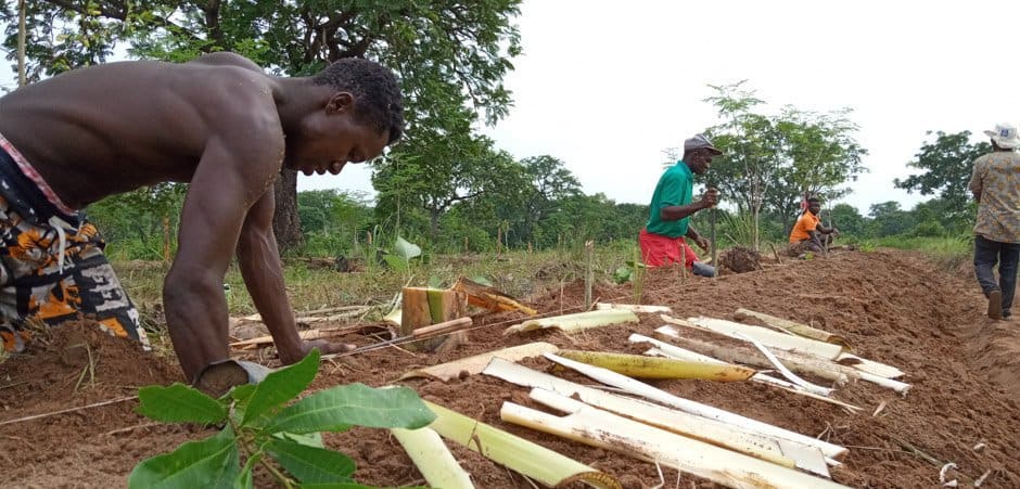 Planting trees in Ghana IMG 20190716 083648 9