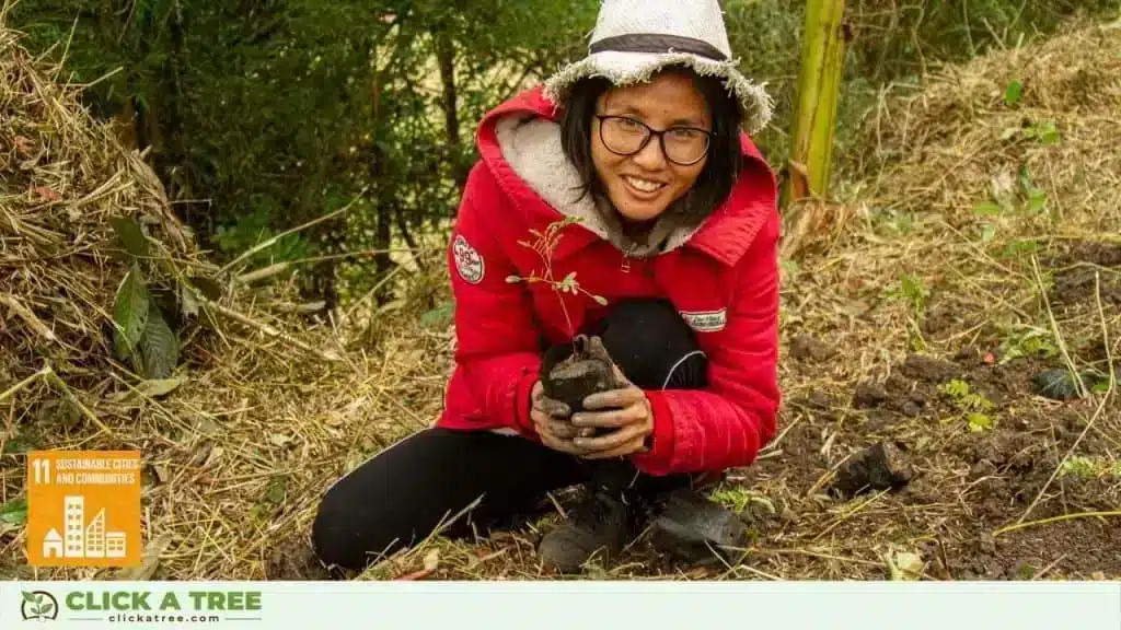 Click A Tree and the 17 Sustainable Development Goals Sustainable Development Goals and Click A Tree13 1024x576 1