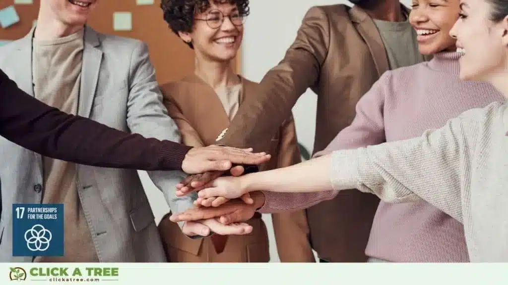 Click A Tree and the 17 Sustainable Development Goals Sustainable Development Goals and Click A Tree19 1024x576 1