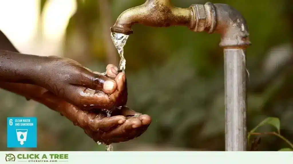 Click A Tree and the 17 Sustainable Development Goals Sustainable Development Goals and Click A Tree7 1024x576 1