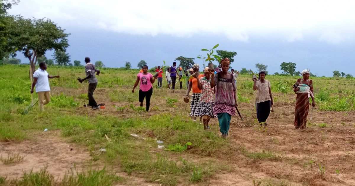 Menschen in Ghana beim Bäume pflanzen