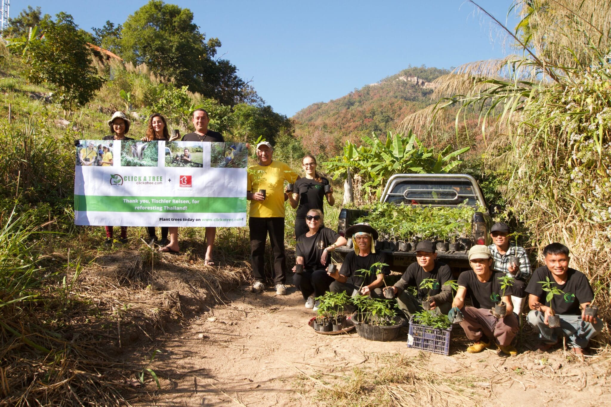 Thailand Projekt Click A Tree mit Marketingbanner