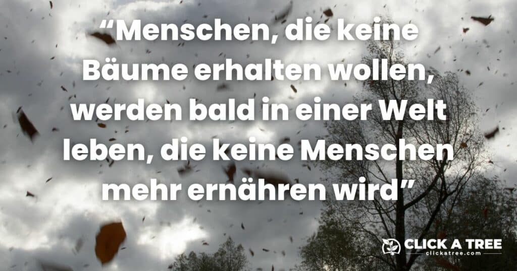Blätter im Sturm eines großen Baumes