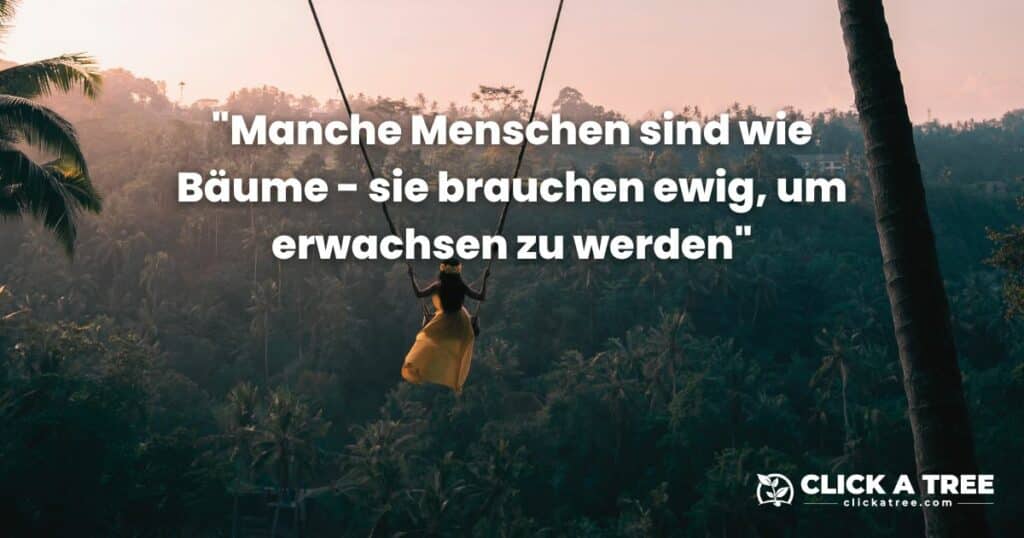 39 Motivierende und inspirierende Baum-Zitate über das Leben, den Beruf und die Liebe CSRD Richtline Kompletter Guide zur Nachhaltigkeitsberichterstattungspflicht inkl pdf Berichts Vorlage Lead Image von Click A Tree 5 Baum Zitate