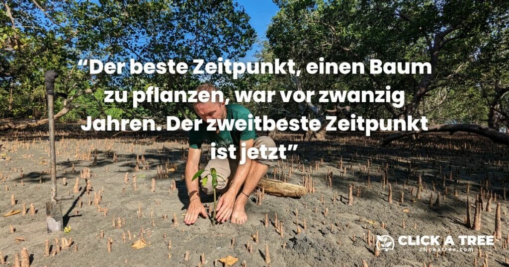 Chris Kaiservon Click A Tree pflanzt einen Mangrovenbaum auf dem Philippinen
