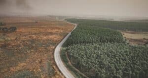 Deforestation: Meaning, Causes, Effects and Solutions - Click A Tree