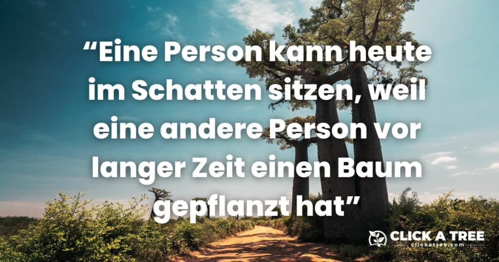 Einige mächtige Baobab-Bäume werfen Schatten