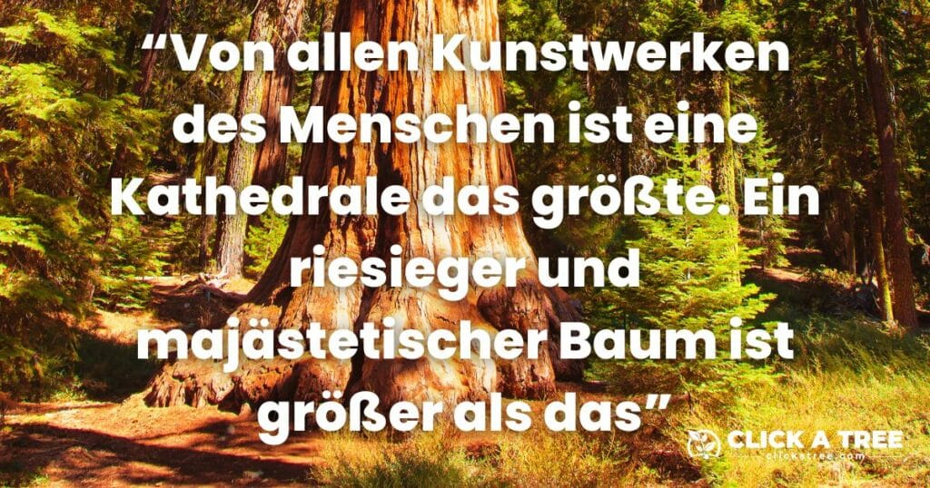 Von allen kunstwerken des menschen ist eine kathedrale das größte. Ein riesieger und majästerischer Baum ist gröer als das.