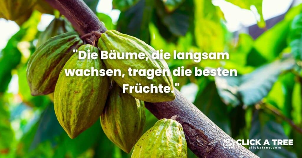 39 Motivierende und inspirierende Baum-Zitate über das Leben, den Beruf und die Liebe Zitat Moliere Baum Zitate