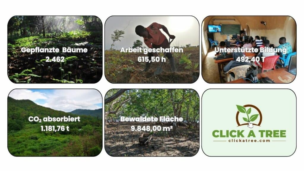 Das Impact-Dashboard von Click A Tree zeigt die nachhaltigen Erfolge der Aufforstungsprojekte in sechs Bildfeldern. Es wurden 2.462 Bäume gepflanzt, 615,50 Arbeitsstunden geschaffen und 492,40 T Bildung unterstützt. Zudem absorbieren die gepflanzten Bäume 1.181,76 Tonnen CO? und bedecken eine bewaldete Fläche von 9.848,00 m². Das Dashboard schließt mit dem Click A Tree-Logo und verweist auf die Mission: Nachhaltigkeit einfach umsetzen.