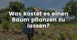 Blog Beitrags Bild - Was kostet es einen Baum pflanzen zu lassen
