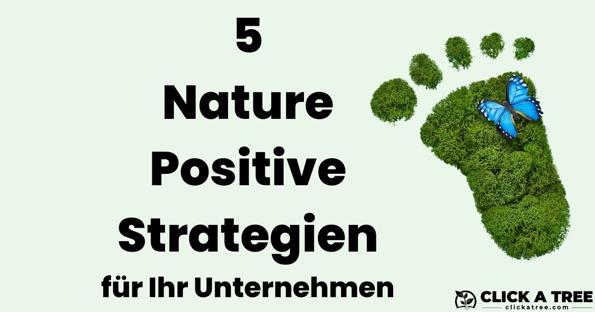 5 konkrete, einfach umsetzbare Nature Positive Strategien für Ihr ...
