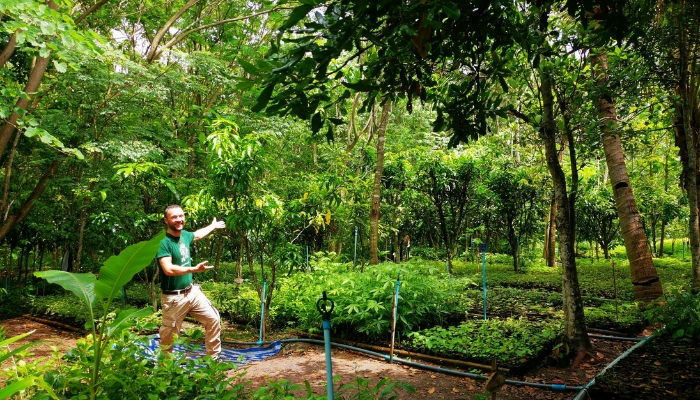 Thailand Wald