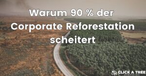 Lead Bild: Warum 90 % der Corporate Reforestation scheitert_