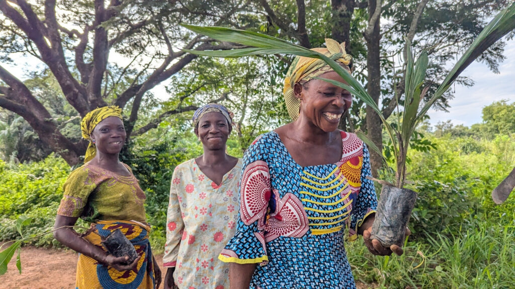 Ghana: Bildung fördern und Bäume pflanzen - 2400x1350 px