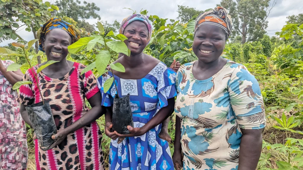 Greenwashing, Directive (EU) 2024/825 & das Omnibus-Paket Click A Tree Ghana 3women with seedlings greenwashing,Directive,Omnibus
