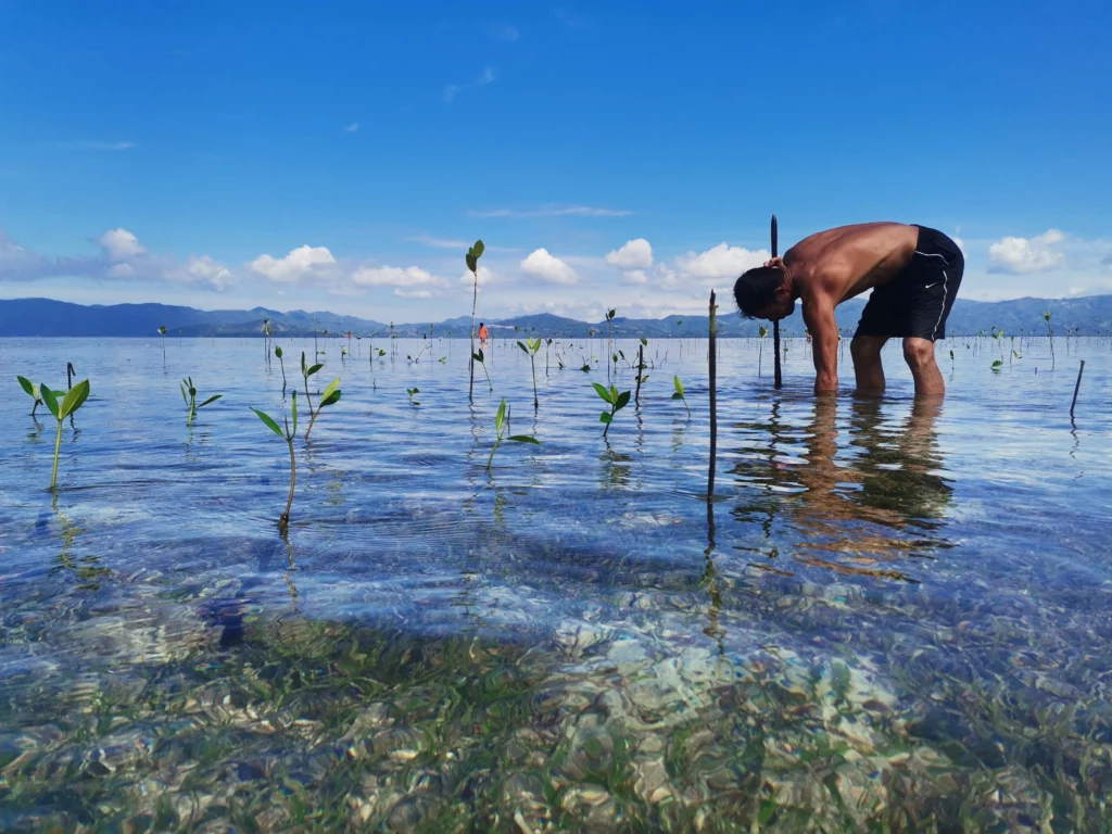 7 Beispiele für profitable Nachhaltigkeit in der Gastronomie Click A Tree Reforesting the Philippines 5 nachhaltigkeit in der gastronomie