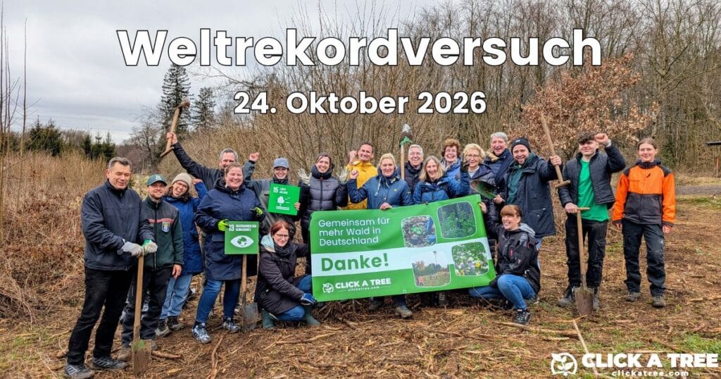 Weltrekordversuch Gemeinsam Bäume pflanzen